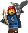 Falconer — Series 24 CMF (71037-5 / col24-5)