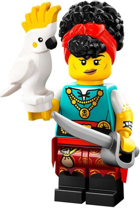 Pirate Quartermaster — Series 27 CMF (71048-10 / col27-10)